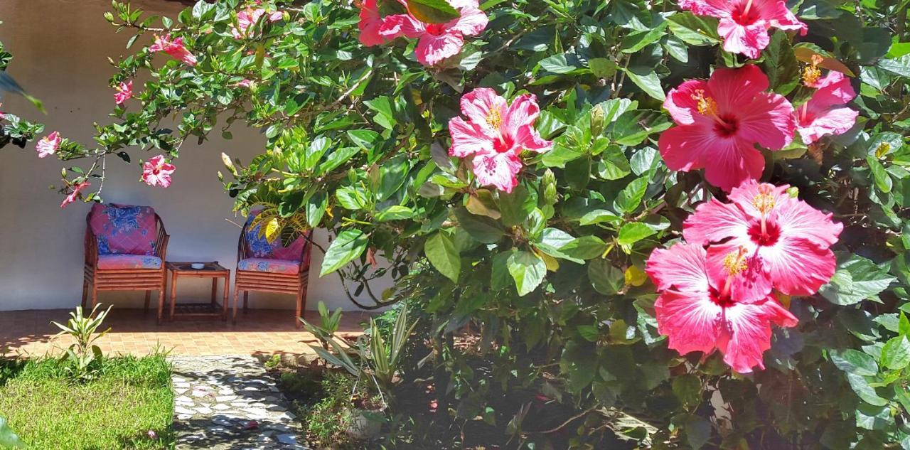Vida Tropical Bed and Breakfast Αλαχουέλα Εξωτερικό φωτογραφία