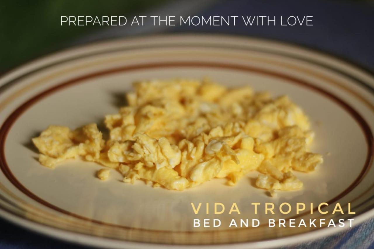 Vida Tropical Bed and Breakfast Αλαχουέλα Εξωτερικό φωτογραφία