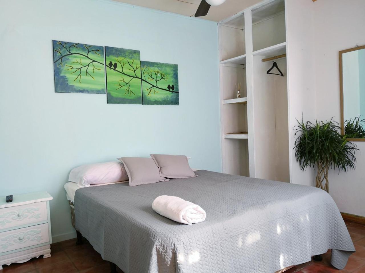 Vida Tropical Bed and Breakfast Αλαχουέλα Εξωτερικό φωτογραφία